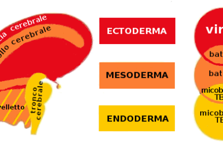 Le 5 Leggi Biologiche