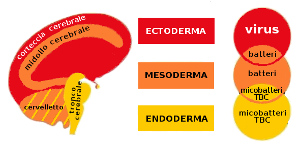 Le 5 Leggi Biologiche